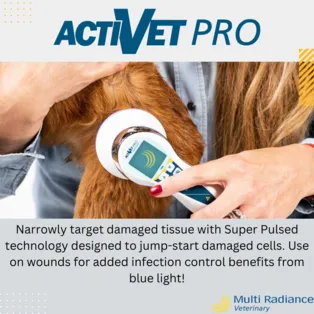 ActiVetPro