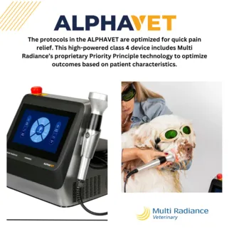 AlphaVet