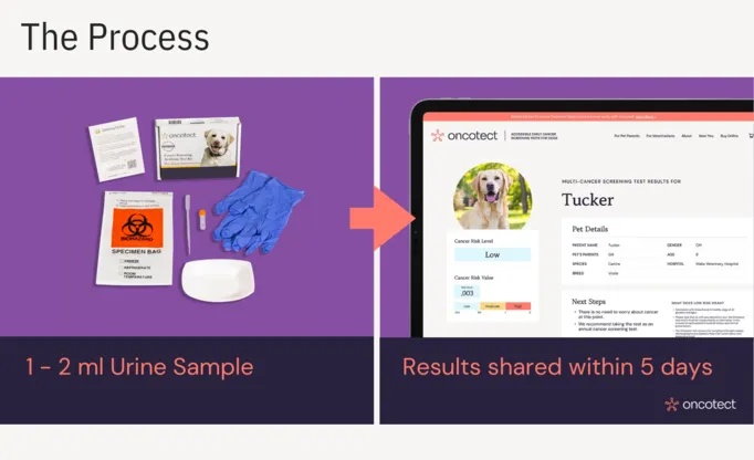 The Process for Cancer Screening