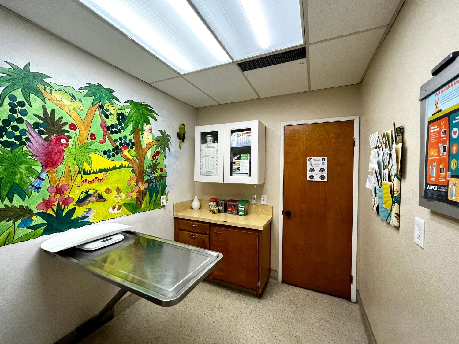 Exotic Exam Room