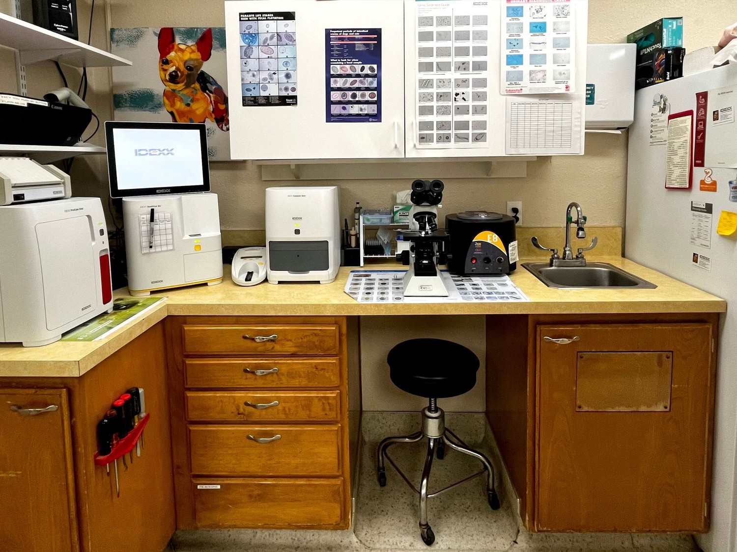 Lab Area