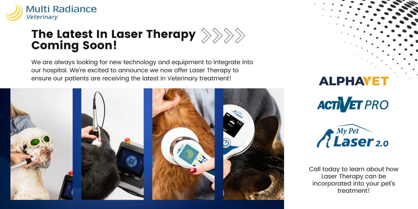 Laser Therapy infographic