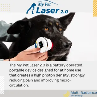 My Pet Laser