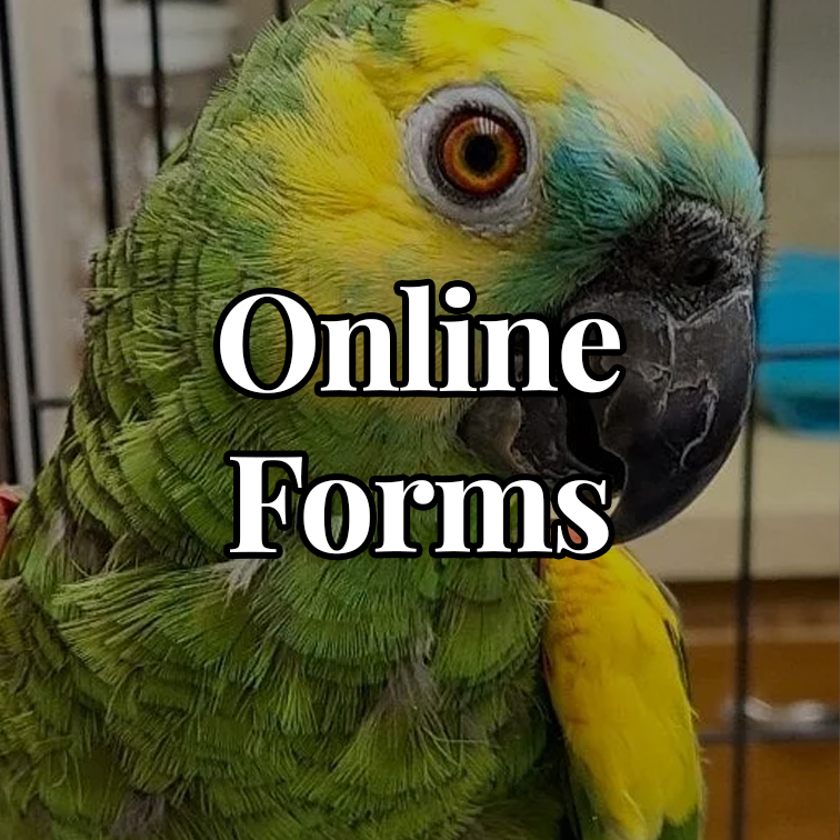 Online Forms