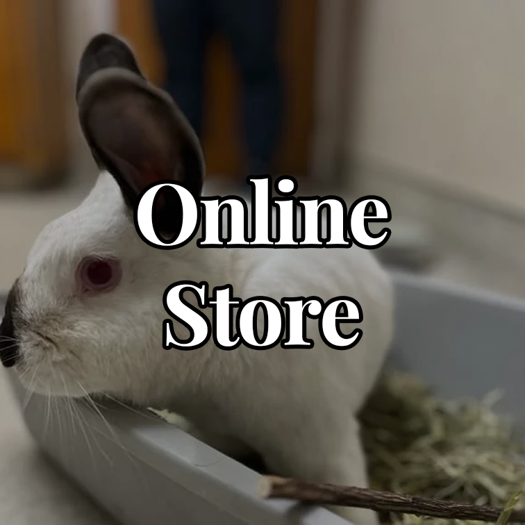 Online Store