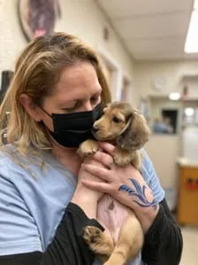 Doctor and Puppy