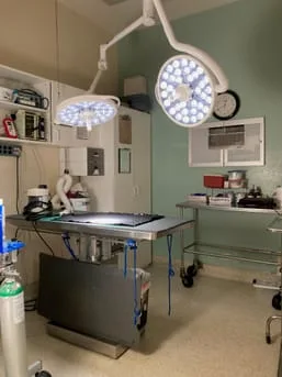 Surgical Suite