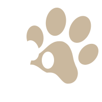 Paw Icon Graphic