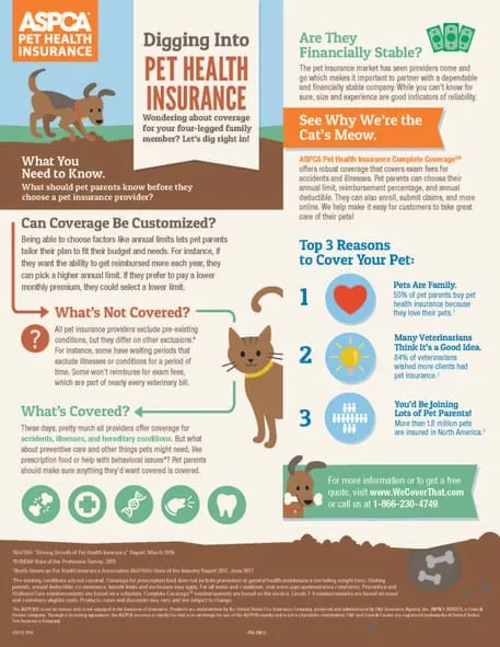 ASPCA Infographic