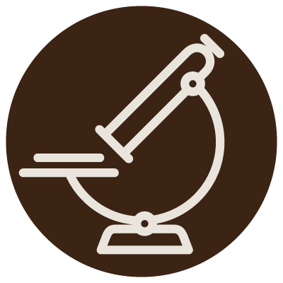 Lab Diagnostics Button